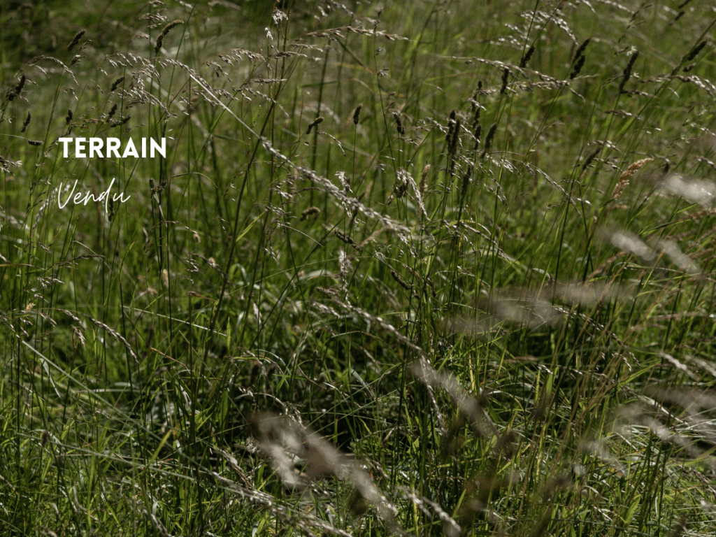 Vendu ploemel terrain à vendre proche bourg et parc