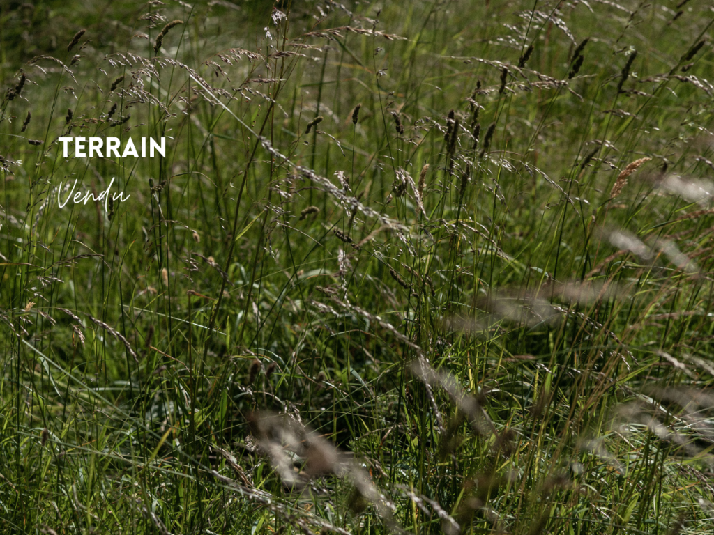 Vendu ploemel terrain à vendre proche bourg et parc